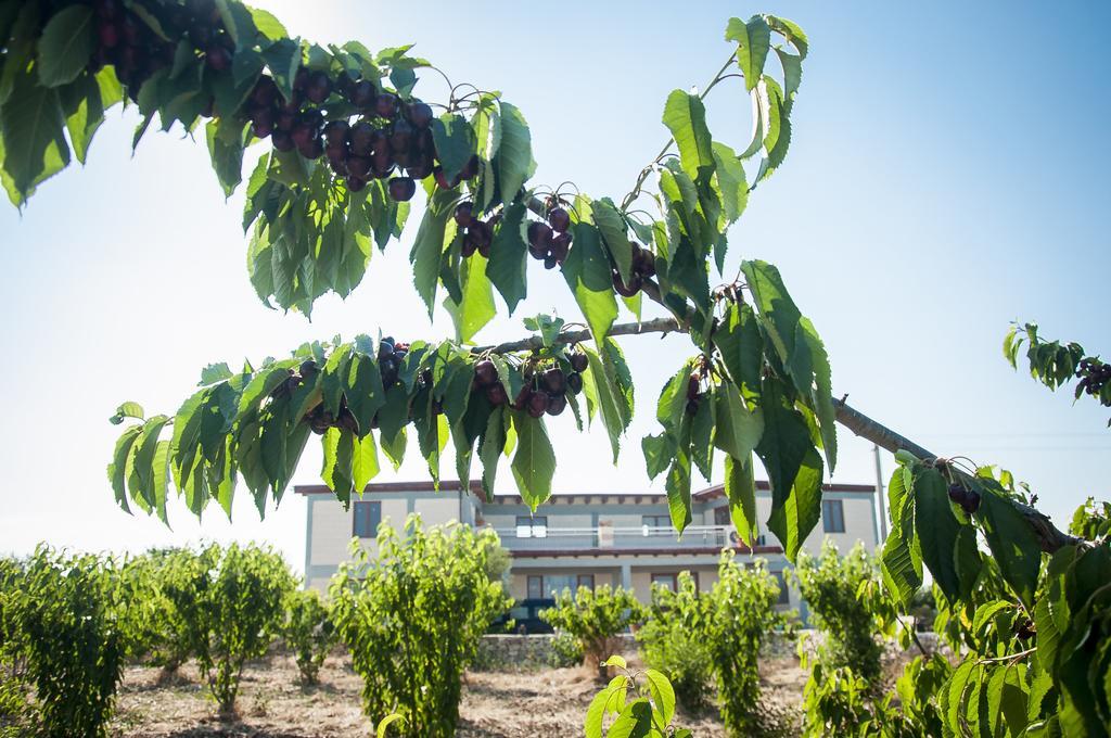מולפטה Agriturismo La Ferrovia מראה חיצוני תמונה
